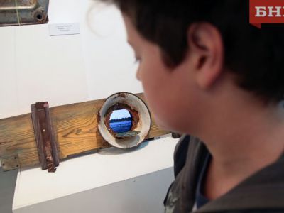 Выставка «Клюква. Большая вода»