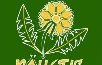 этнофольклорного фестиваля «Кöйдыс» 