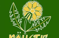 Выставка-ярмарка фестиваля Койдыс