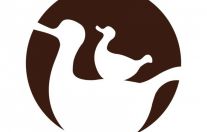 Мастер года 2021