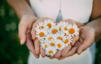 С днем Семьи, любви и верности