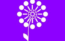 "Стажировка МЕДИАДВИЖ"