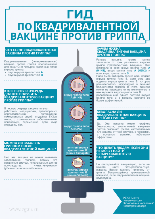 Gid-po-kvadrivalentnoi-vakzine-grippa.png